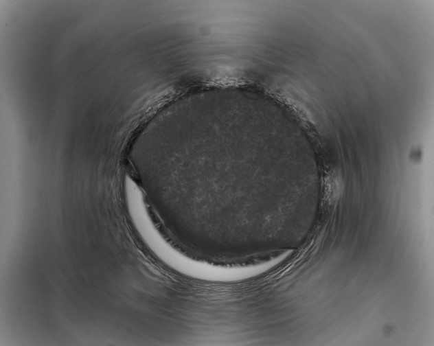 X0000097890517200804111021