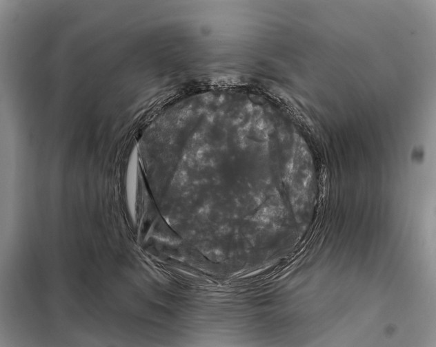 X0000097890519200804111021