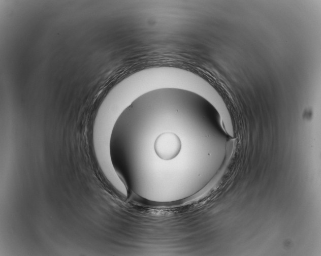 X0000097890520200804111021