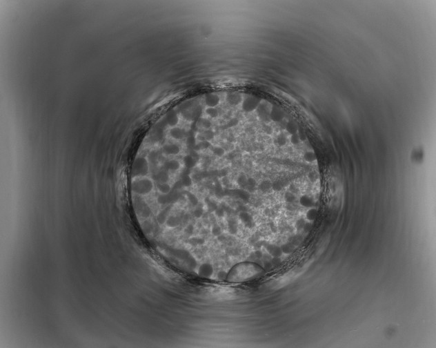 X0000097890523200804111021