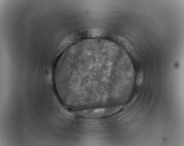 X0000097890524200804111021