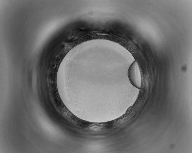 X0000097890526200804111021