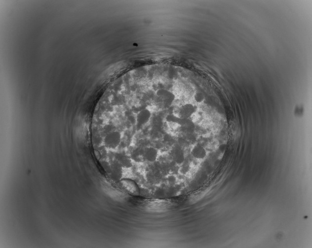 X0000097890527200804111021