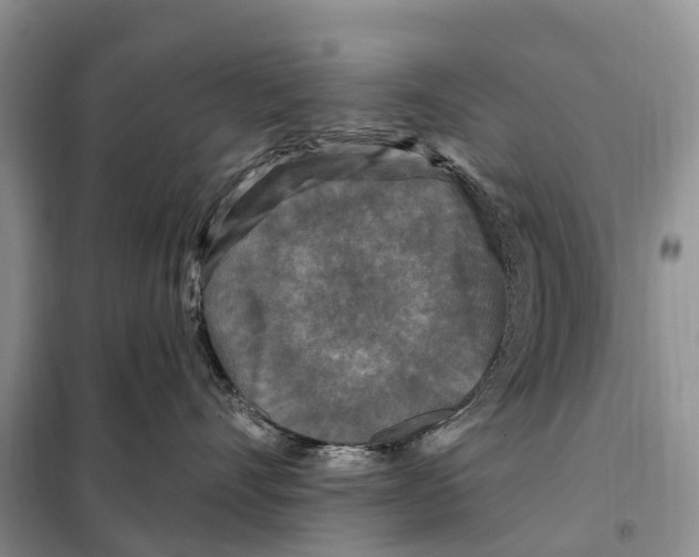 X0000097890528200804111021