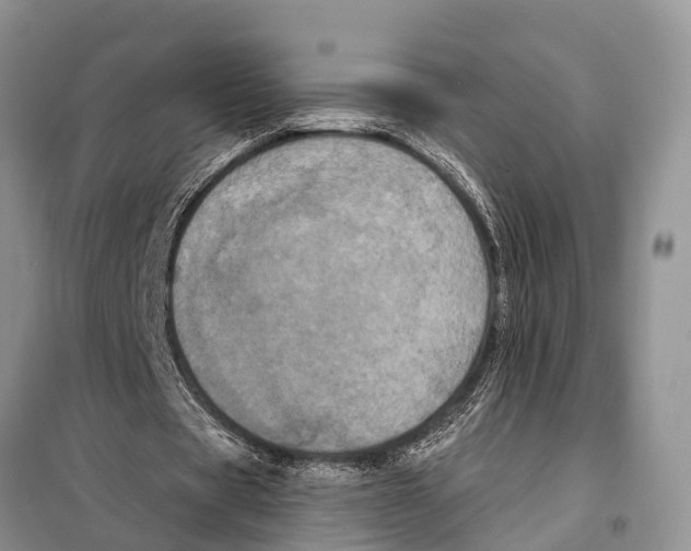 X0000097890529200804111020