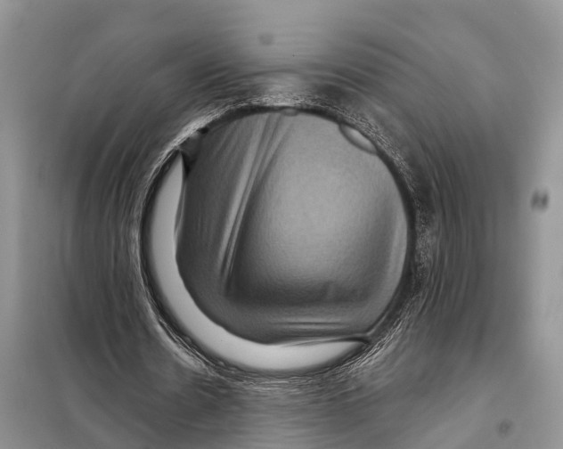 X0000097890530200804111020