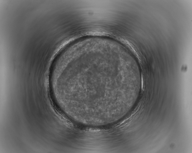 X0000097890531200804111020