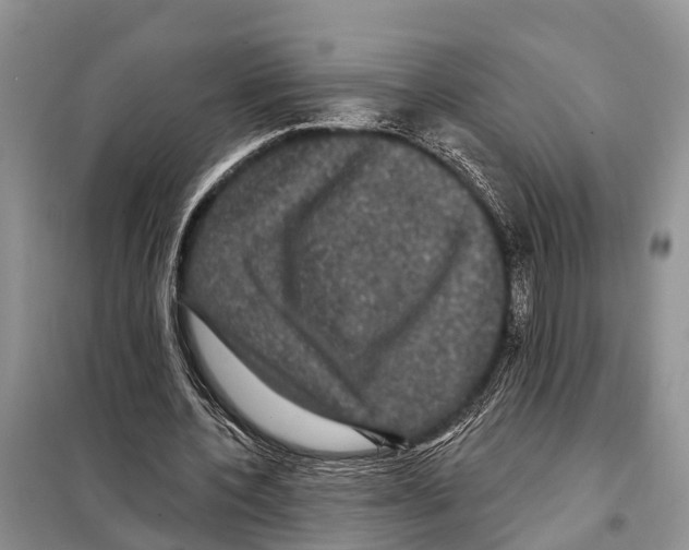 X0000097890532200804111020