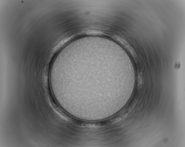 X0000097890533200804111020