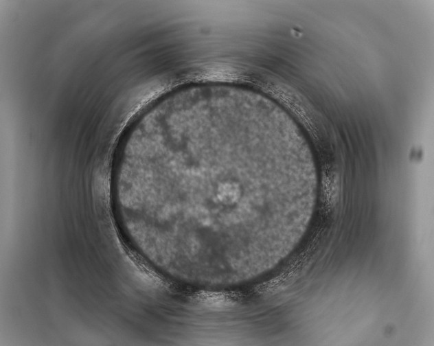 X0000097890534200804111020