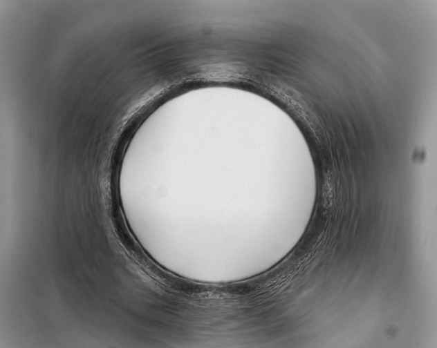 X0000097890535200804111020