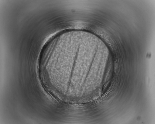 X0000097890536200804111020