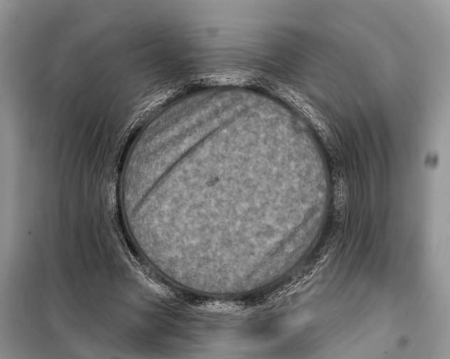 X0000097890537200804111020