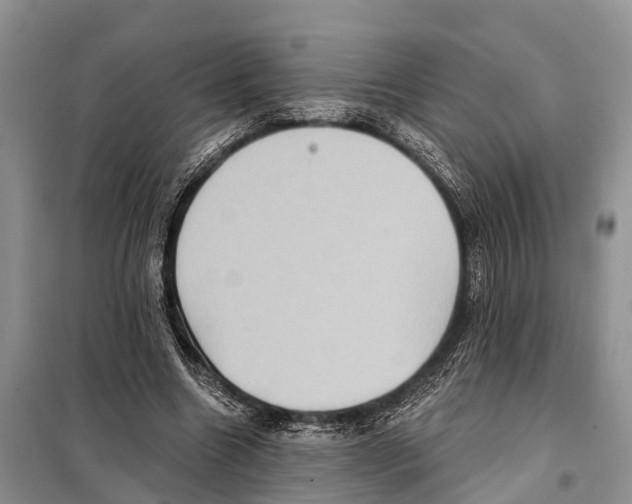 X0000097890538200804111020