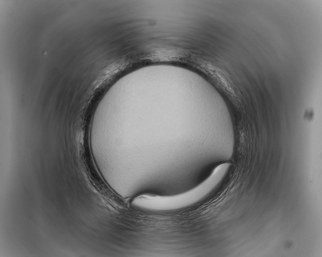 X0000097890539200804111020