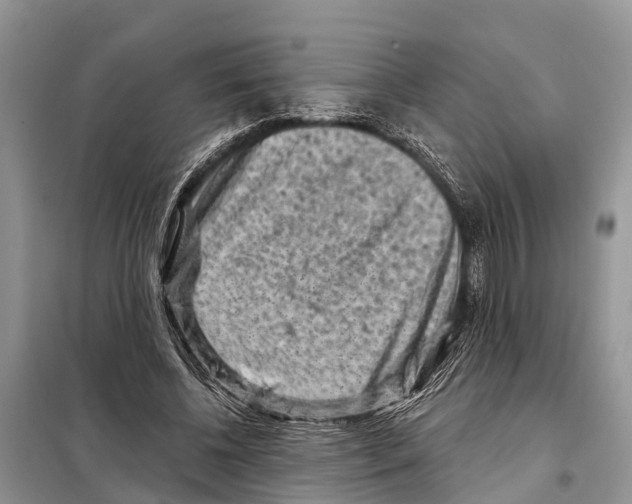 X0000097890540200804111020