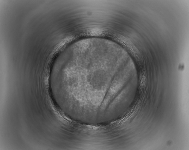 X0000097890542200804111020