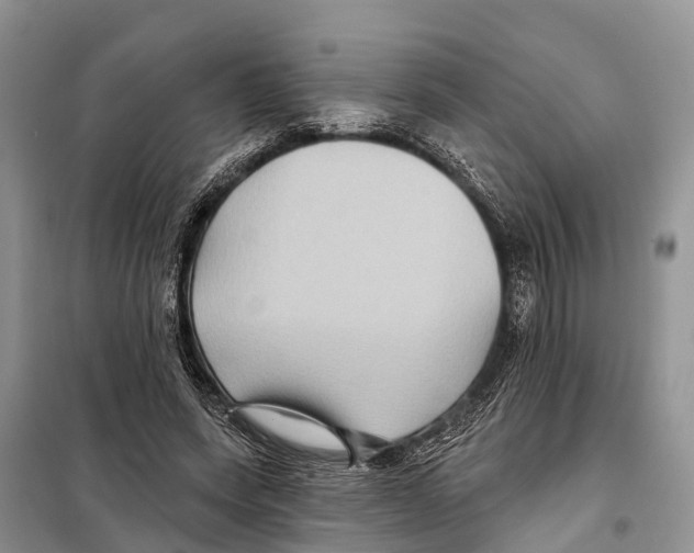 X0000097890543200804111020