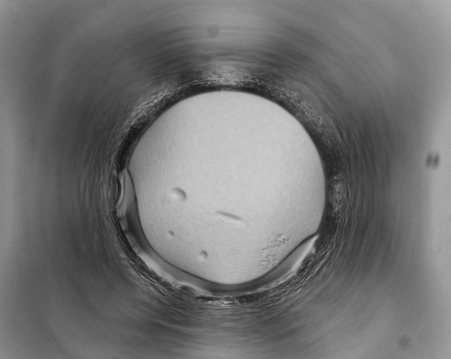 X0000097890544200804111020