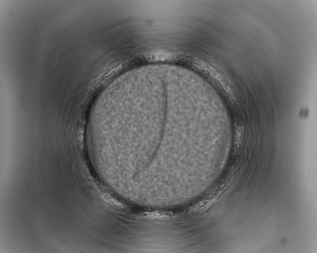 X0000097890545200804111020