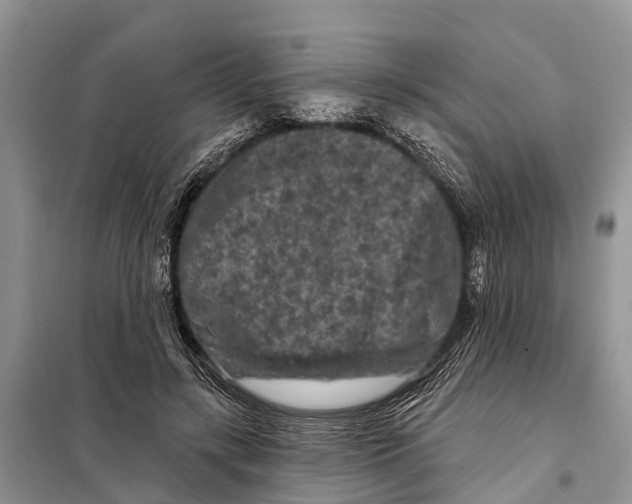 X0000097890547200804111021