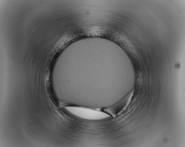 X0000097890548200804111021