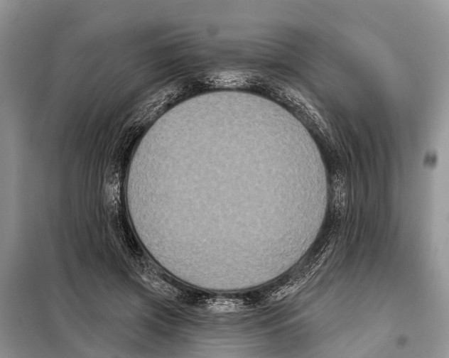 X0000097890549200804111021