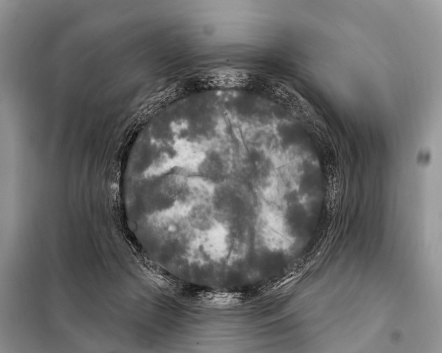 X0000097890553200804111021