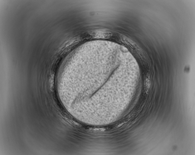 X0000097890554200804111021