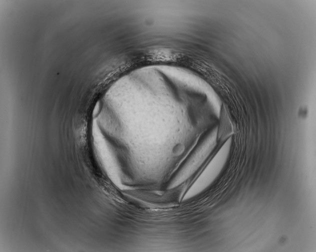 X0000097890556200804111021