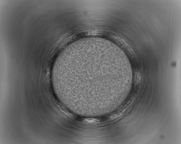 X0000097890557200804111021