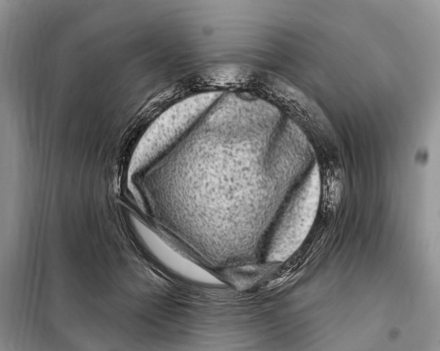 X0000097890558200804111021