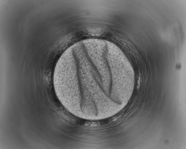 X0000097890559200804111021