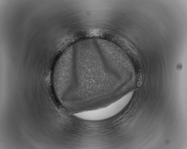 X0000097890560200804111021