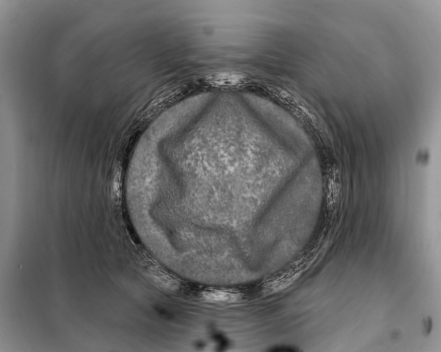 X0000097890561200804111021