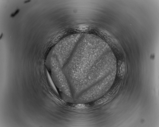 X0000097890562200804111021