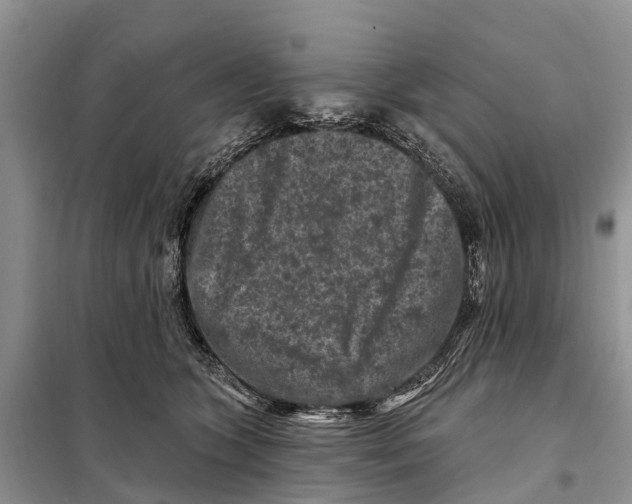 X0000097890563200804111021