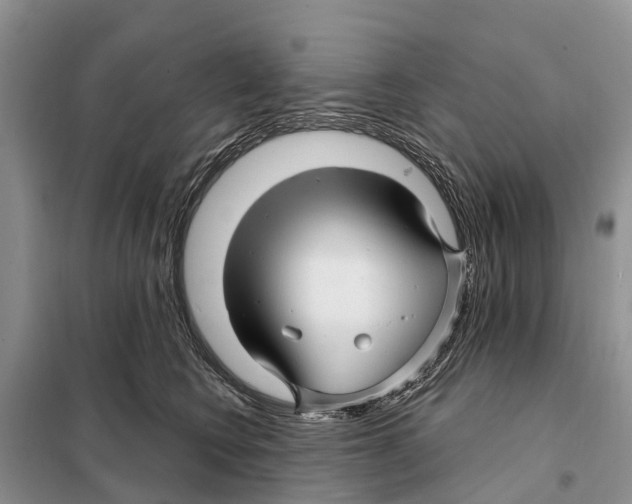 X0000097890566200804111021