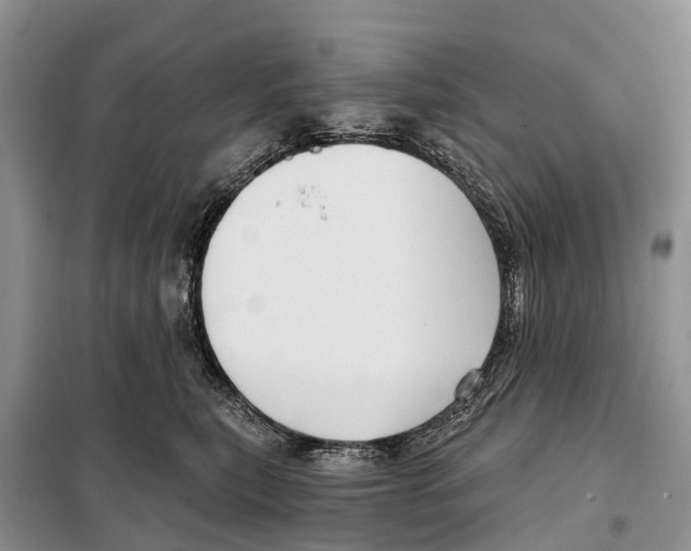 X0000097890567200804111021