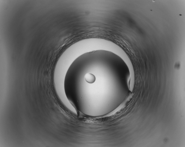 X0000097890568200804111021