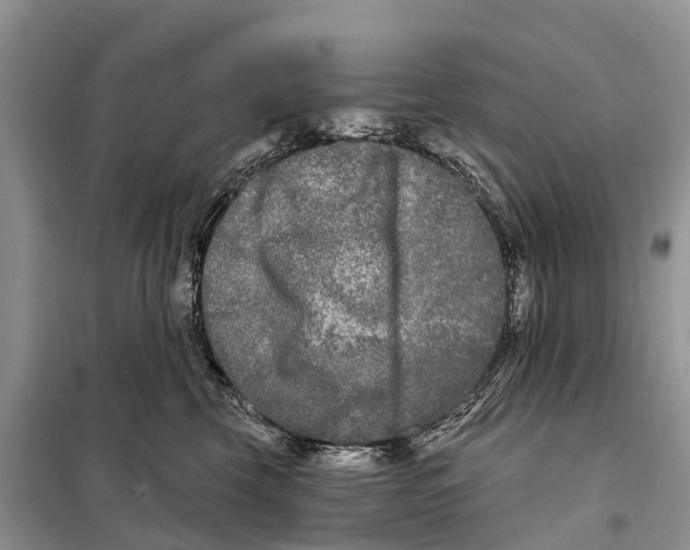 X0000097890569200804111021