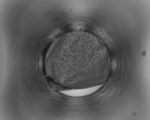 X0000097890570200804111021