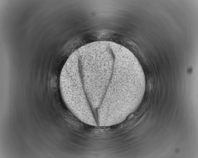 X0000097890571200804111021