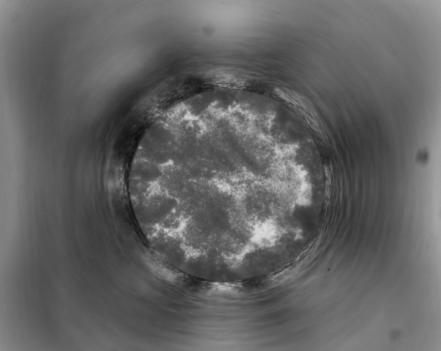 X0000097890573200804111021