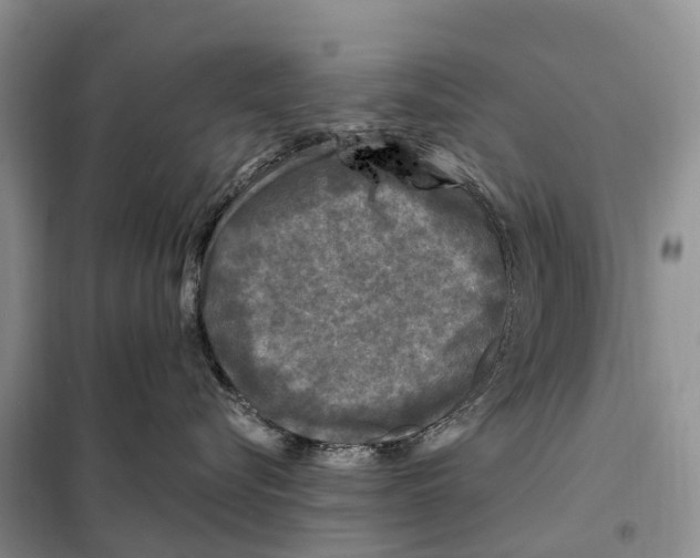 X0000097890576200804111021