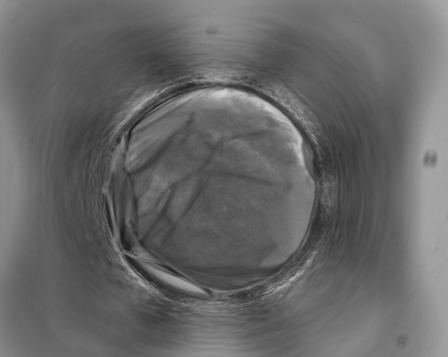 X0000097890577200804111020