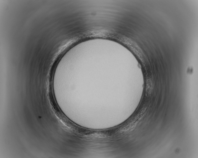 X0000097890578200804111020