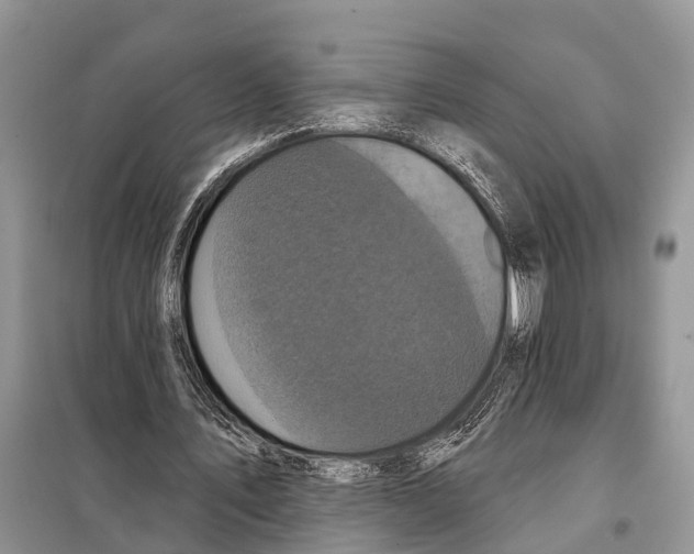 X0000097890579200804111020