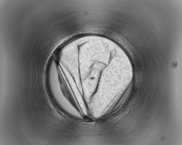 X0000097890580200804111020