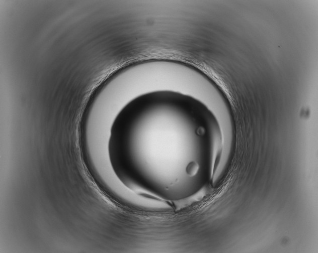 X0000097890581200804111020